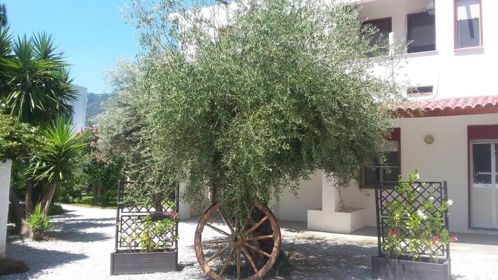 Appartamenti La Baia Del Rais Falcone Room photo
